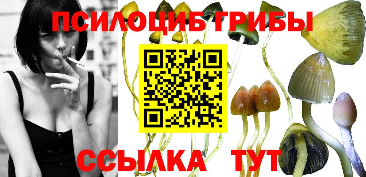 Кировск  Галлюциногенные грибы MAGIC MUSHROOMS  Вход с VPN 