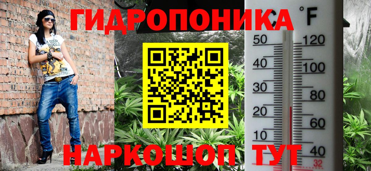 Бошки марихуана Ganja  Вход с VPN  Марихуана сатива  Кировск  Каннабис сатива  Каннабис марихуана 